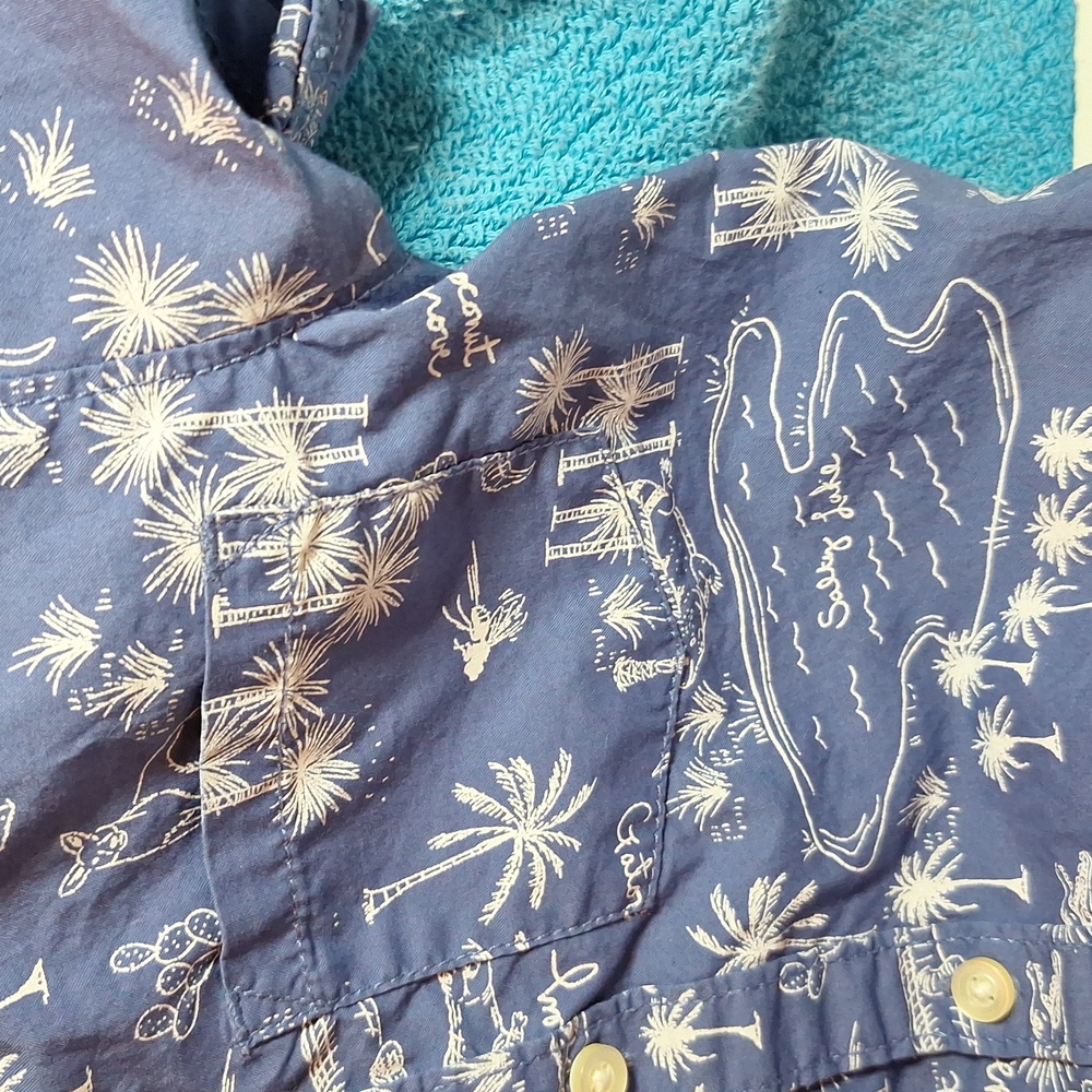 2T Carters Boy Outfit, Beach, Tropical, Summer, Short Sleeve and Shorts - Picture 3 of 5